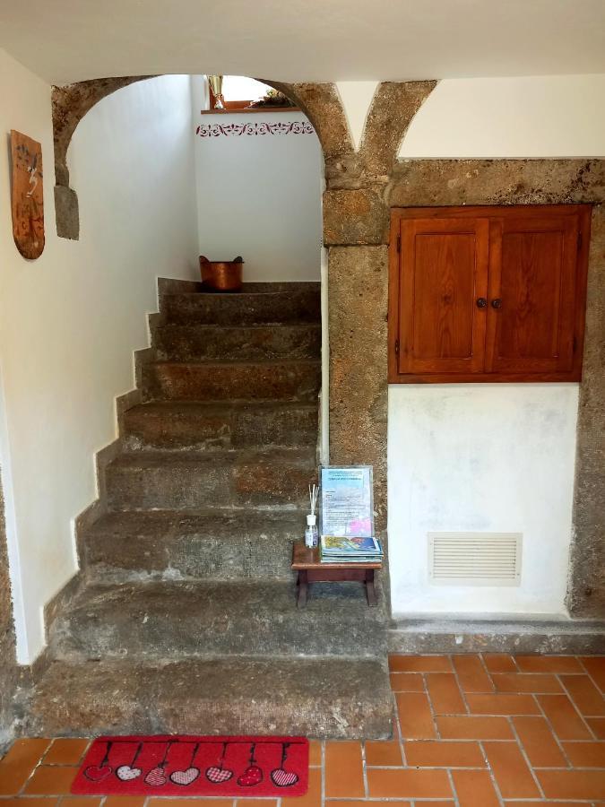 Cjasa Da Puci Apartman Ovaro Kültér fotó