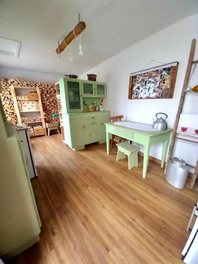 Cjasa Da Puci Apartman Ovaro Kültér fotó